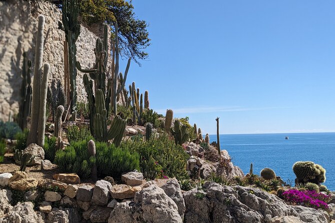 2 Hour Walking Tour in the Old Town of Antibes - Starting beside Port Vauban at 10 a.m.