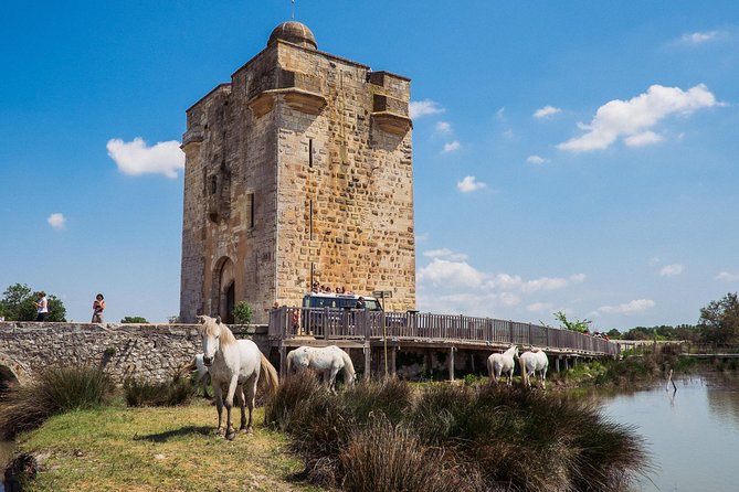 3.5 Hour Camargue 4x4 Safari from Le Grau-du Roi - Vineyards, five wines, and a proper local snack
