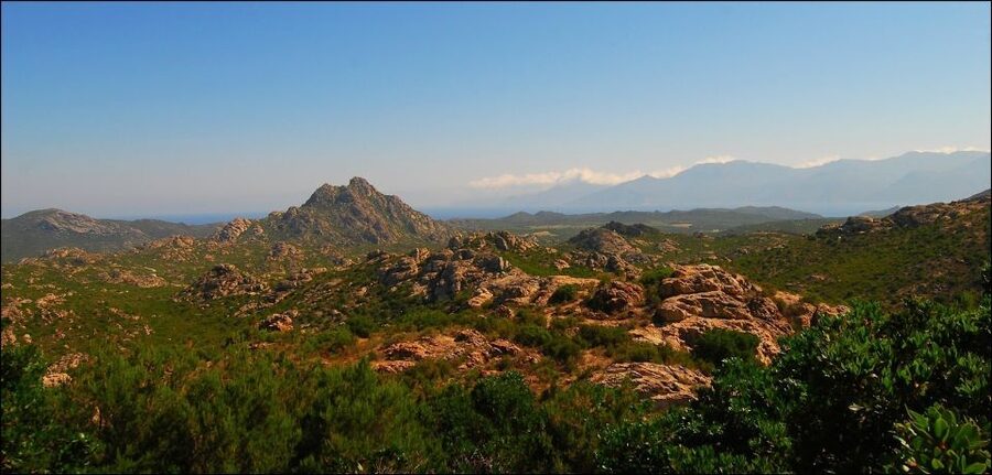 4x4 Agriates Desert and Beach Excursion from Calvi - Spotting maquis plants, birds, and butterflies