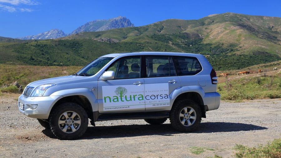4x4 Agriates Desert and Beach Excursion from Calvi - Malfacu Beach and the value of a long coastal stop