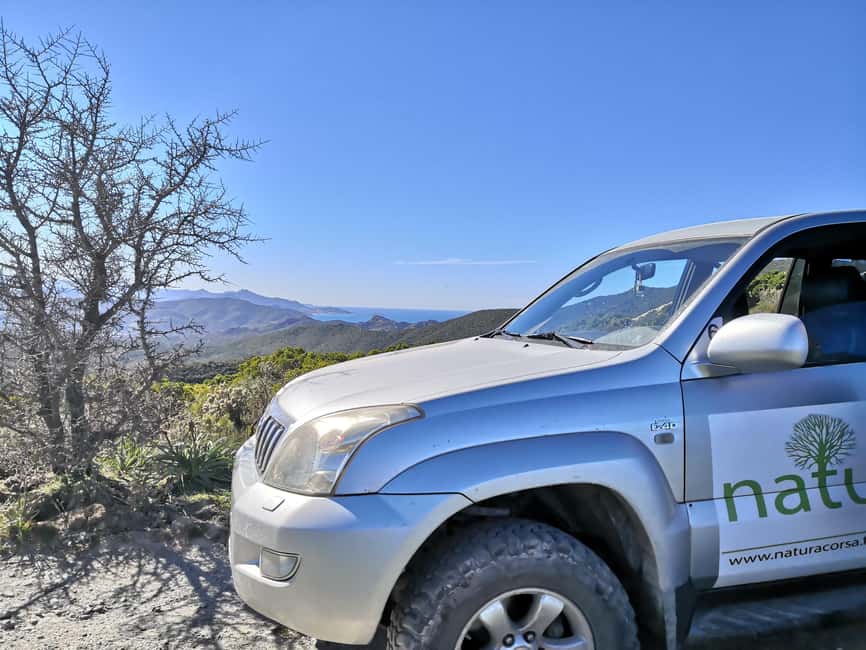 4x4 Agriates Desert and Beach Excursion from Calvi - A six-person 4x4 ride with room for questions