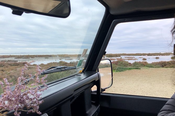 4x4 Camargue Safari 4h - Departure from Arles - What you see on the four-hour route
