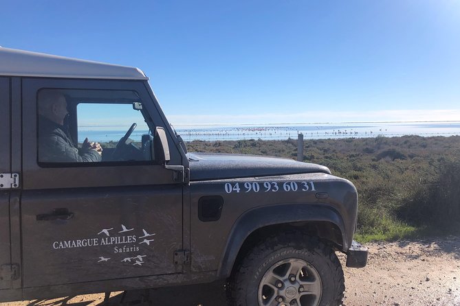 4x4 Camargue Safari 4h - Private Tour - Departure from Arles - Timing, weather, and practical planning