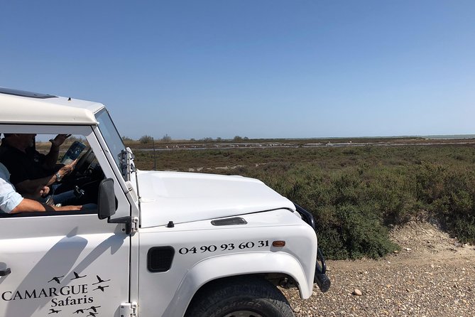 4x4 Camargue Safari 4h - Private Tour - Departure from Arles - Starting in Arles at 1 Rue Emile Fassin