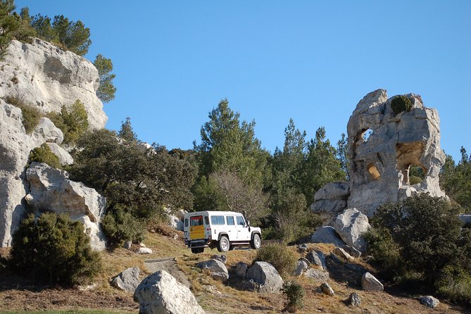4x4 safari - 4h Alpilles Provence - Departure from Arles - Olive groves, oil, and the working countryside