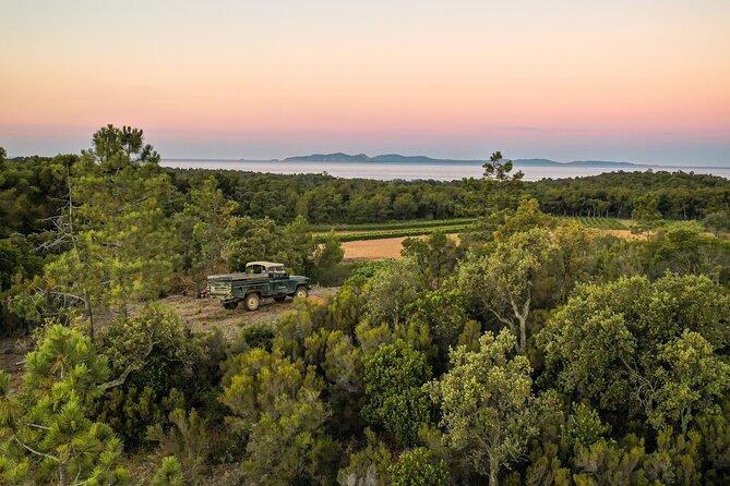 4x4 tour in a winery followed by a tasting - Why this vineyard tour works so well