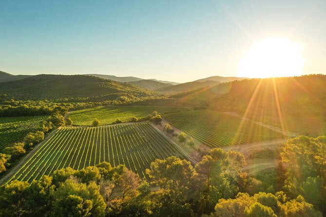 4x4 tour in a winery followed by a tasting - Riding through the vineyard in a retro Land Rover