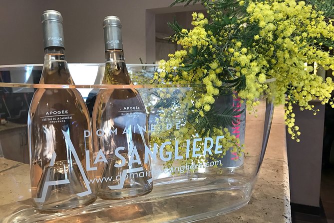 4x4 tour in a winery followed by a tasting - The Porquerolles view is part of the payoff