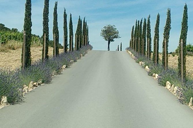 5-Hour Private Sightseeing Tour of the Provence from Marseille in Luxury Car - Two Marseille palaces, two very different pauses