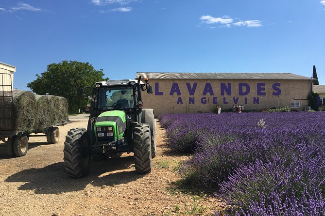5-Hours Lavender Fields Tour in Valensole from Aix-en-Provence - Who should book this Valensole outing?