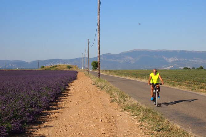 5-Hours Lavender Fields Tour in Valensole from Aix-en-Provence - Meeting local producers and shopping at the source