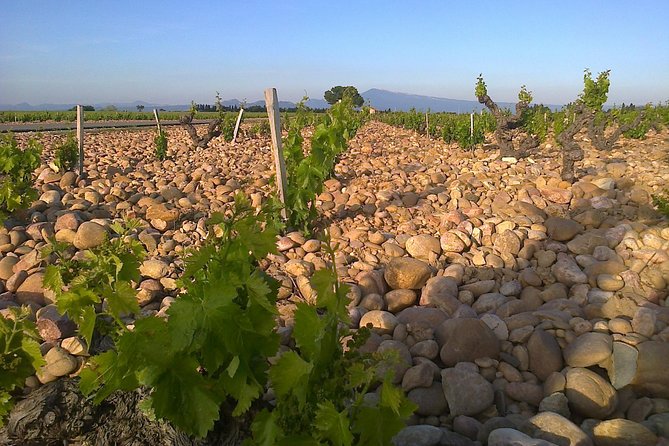 A Day in Provence Small Group Tour from Marseille - Your guide can make or break the day