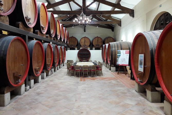 Afternoon Wine Tour to Chateauneuf du Pape from Avignon - How much wine will you taste?