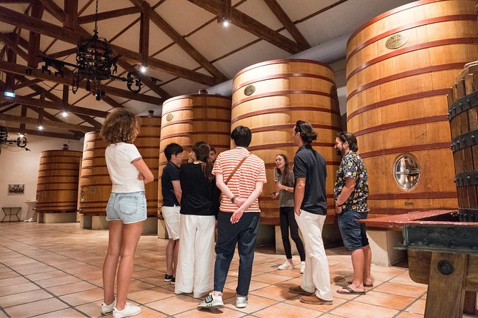Afternoon Wine Tour to Chateauneuf du Pape from Avignon - Comfort, group size, and the pace of the afternoon