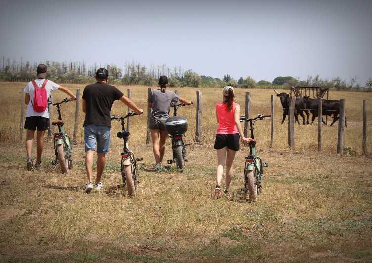 Aigues Mortes: safari en vélo - Ebike tour in Camargue - Why an e-bike is the right way to see the Camargue