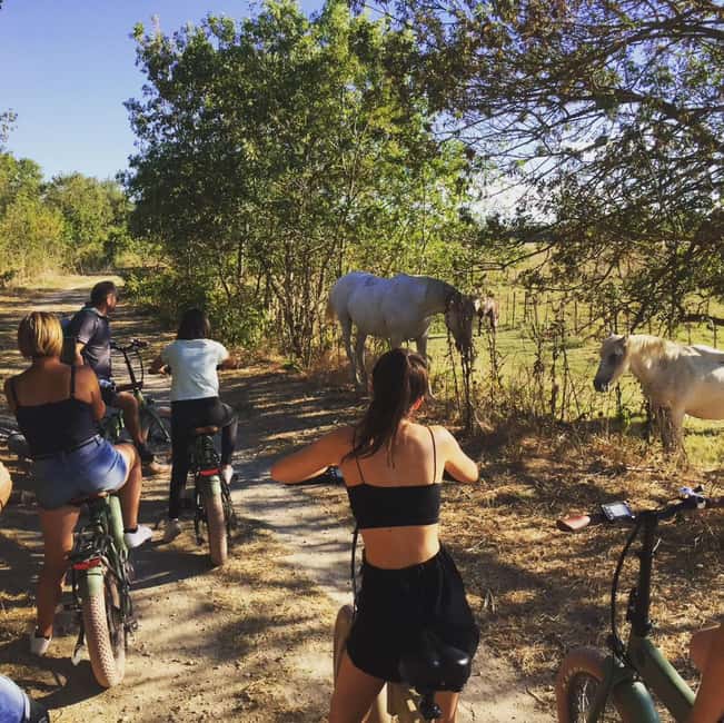 Aigues Mortes: safari en vélo - Ebike tour in Camargue - Looking for horses, bulls, and birds