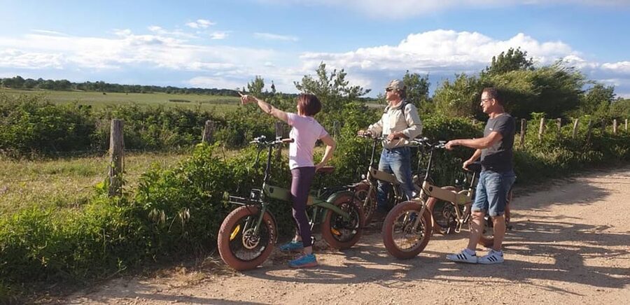 Aigues Mortes: safari en vélo - Ebike tour in Camargue - What the 150-minute itinerary feels like