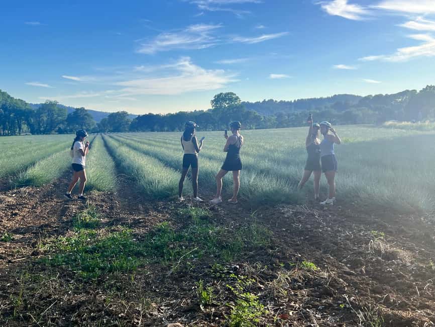 Aix-en-Provence: E-Bike Tour of Mount Sainte-Victoire - Quick points to know