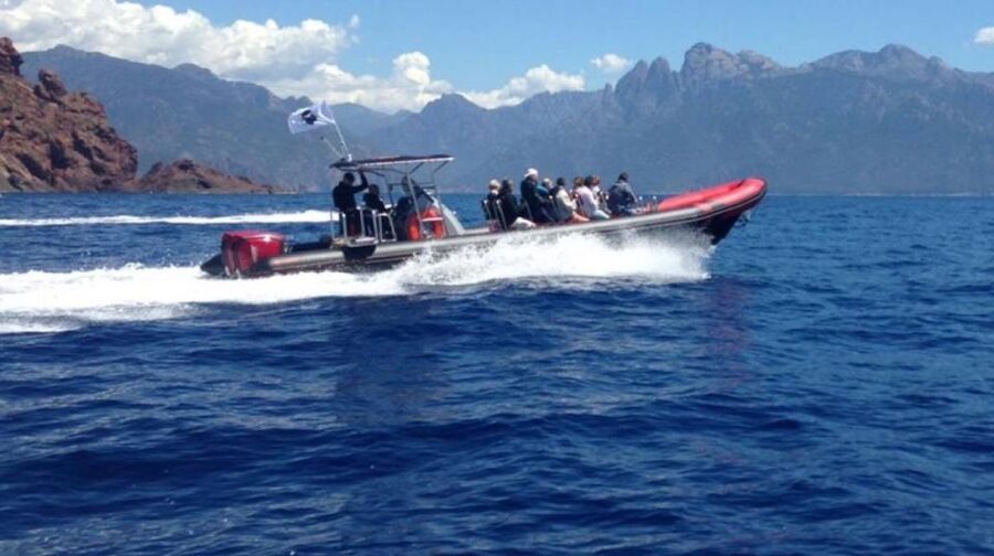 Ajaccio/Porticcio: Scandola & Piana Semi-Rigid Boat Day Trip - Two hours in remote Girolata
