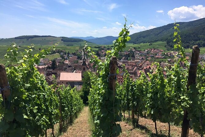 Alsace 4 Wonders Small-Group Day Trip from Colmar - First stop: Eguisheim before the crowds