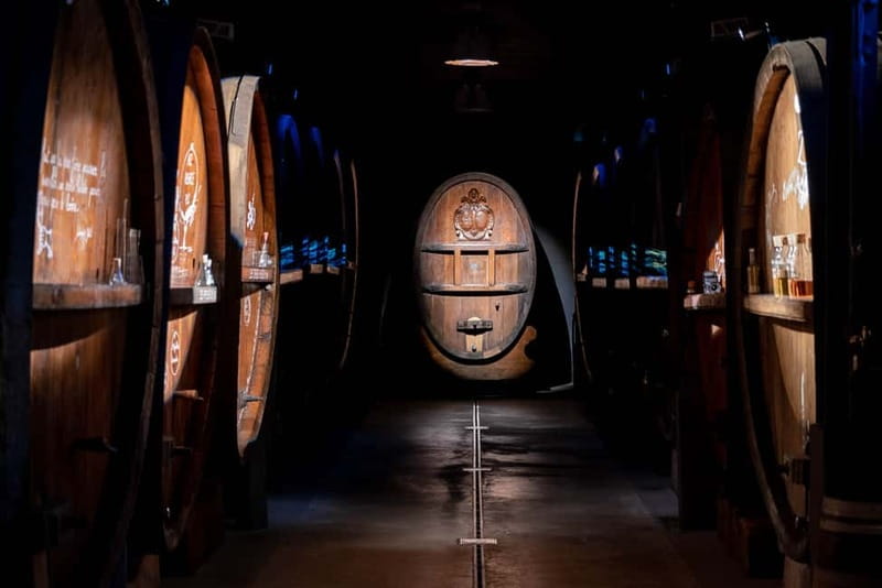 Alsace: Alsatian Wine Tasting Tour and Alsatian Lunch - Who will enjoy this winery visit most