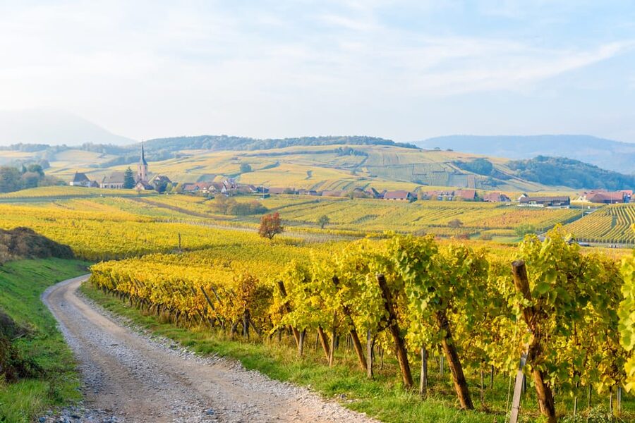 Alsace: Full-Day Wine Tour & Tastings from Strasbourg - Why this Alsace wine day works so well