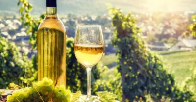 Alsace: Full-Day Wine Tour & Tastings from Strasbourg