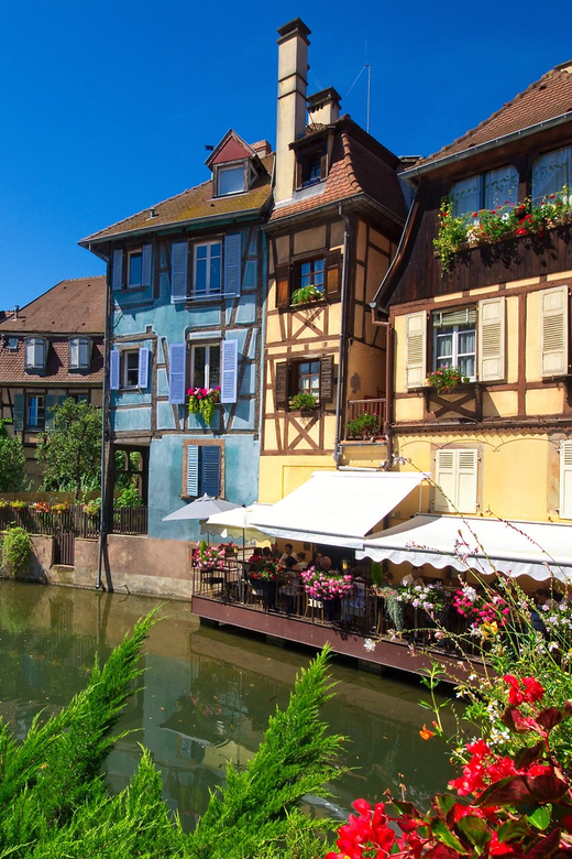 Alsace: Full-Day Wine Tour & Tastings from Strasbourg - What the small group adds