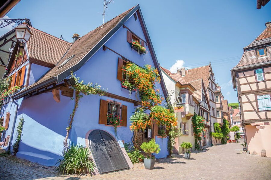 Alsace: Full-Day Wine Tour & Tastings from Strasbourg - Practical details that affect your day