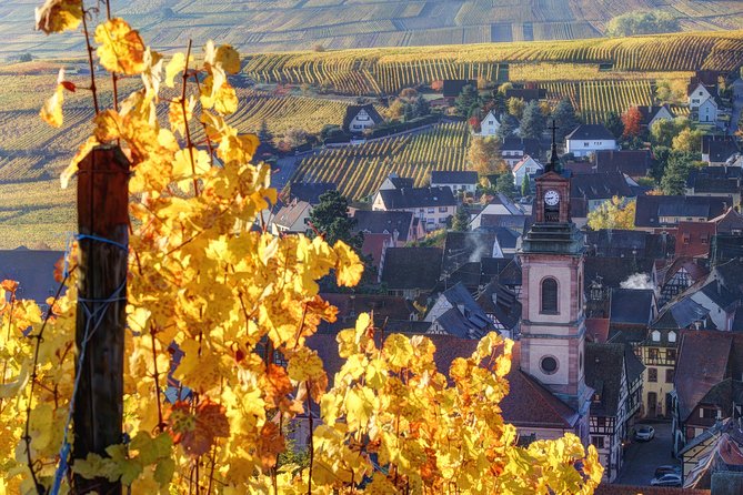 Alsace villages half day tour from Colmar - Along the Alsace Wine Route