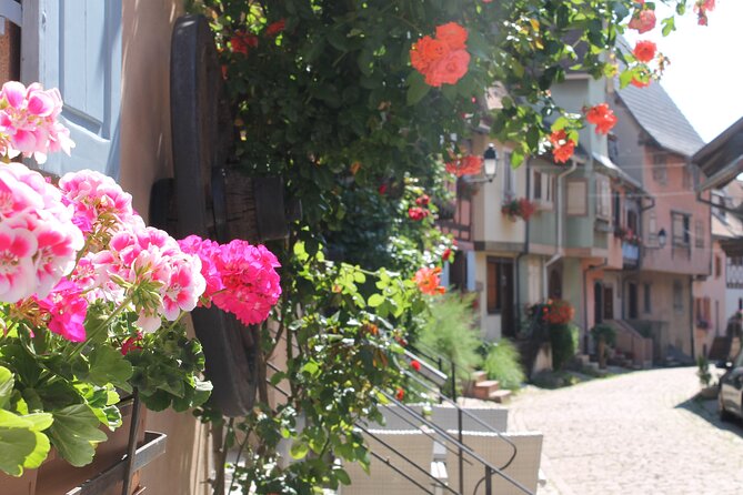 Alsace Wine Route Small Group Half-Day Tour with Tasting from Strasbourg - Why this half-day tour works from Strasbourg