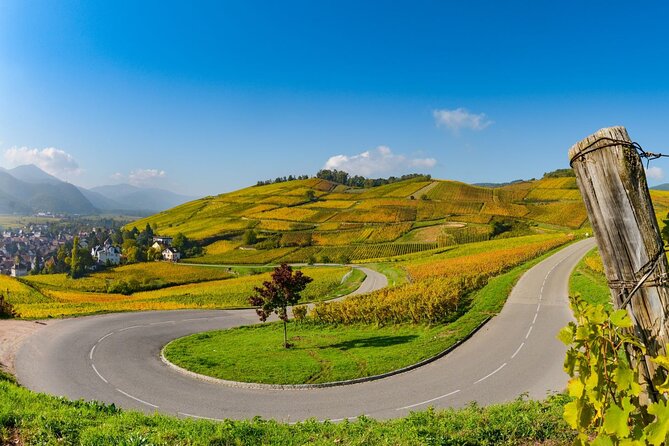Alsace Wine Route Small Group Half-Day Tour with Tasting from Strasbourg - Why the cellar visit matters