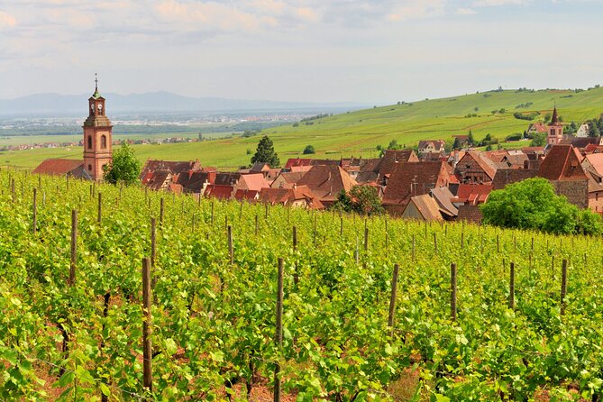 Alsace Wine Route Small Group Half-Day Tour with Tasting from Strasbourg - Small group transport makes a real difference