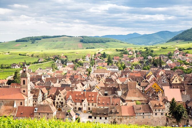 Alsace Wine Route Small Group Half-Day Tour with Tasting from Strasbourg - Food, wine amounts, and practical comfort