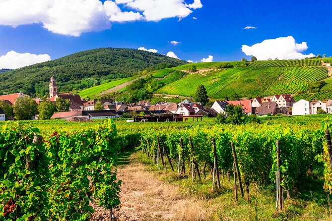 Alsace Wine Route Small Group Half-Day Tour with Tasting from Strasbourg - Who should book this Alsace wine outing