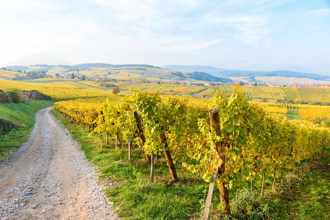 Alsace Wine Route Wineries & Tasting Small Group Guided Tour from Strasbourg - Mittelbergheim and the first taste of Alsace