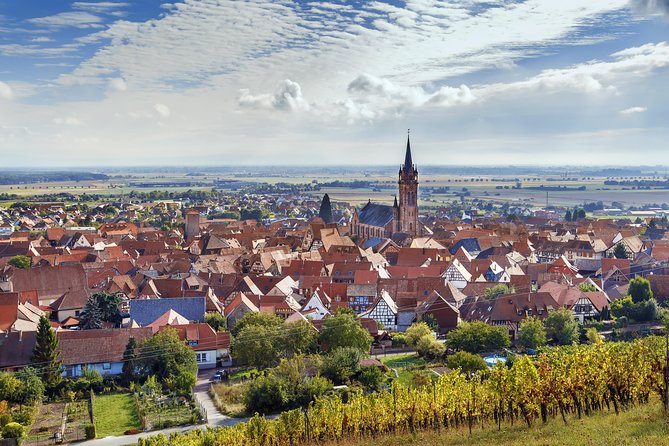 Alsace Wine Route Wineries & Tasting Small Group Guided Tour from Strasbourg - Lunch in a village, with one important warning