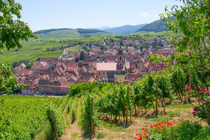 Alsace Wine Route Wineries & Tasting Small Group Guided Tour from Strasbourg - Ribeauvillé, Riquewihr, and the northern vineyards