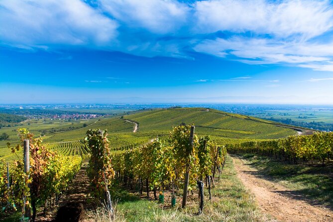 Alsace Wine Route Wineries & Tasting Small Group Guided Tour from Strasbourg - The guides make or break the day