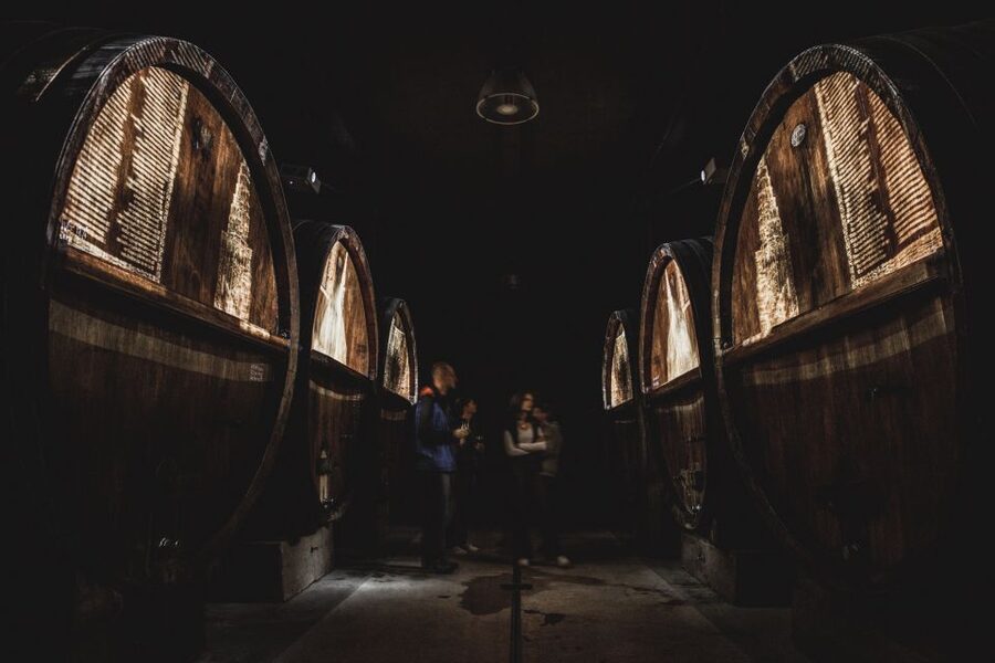 Alsatian Guided Wine Tasting and Immersive wine cellar tour - What happens inside the Gertwiller winery
