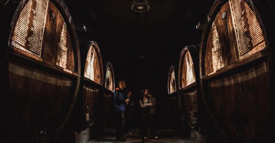 Alsatian Guided Wine Tasting and Immersive wine cellar tour - The old oak barrels are part of the working cellar