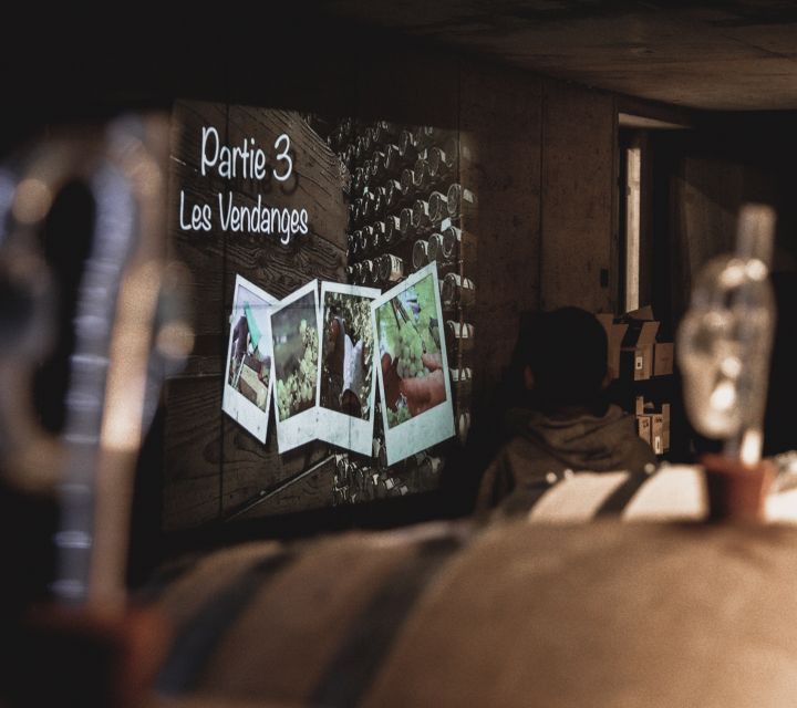 Alsatian Guided Wine Tasting and Immersive wine cellar tour - The 180-degree barrel projection
