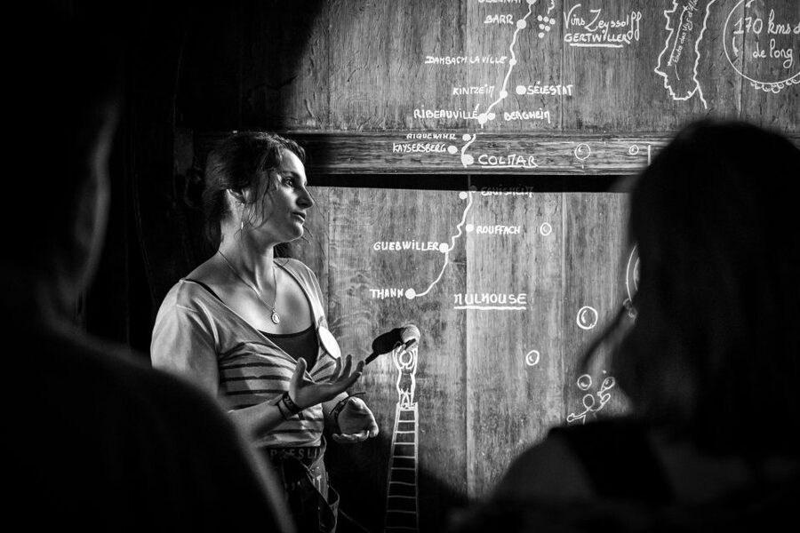 Alsatian Guided Wine Tasting and Immersive wine cellar tour - Why the Gertwiller setting works well