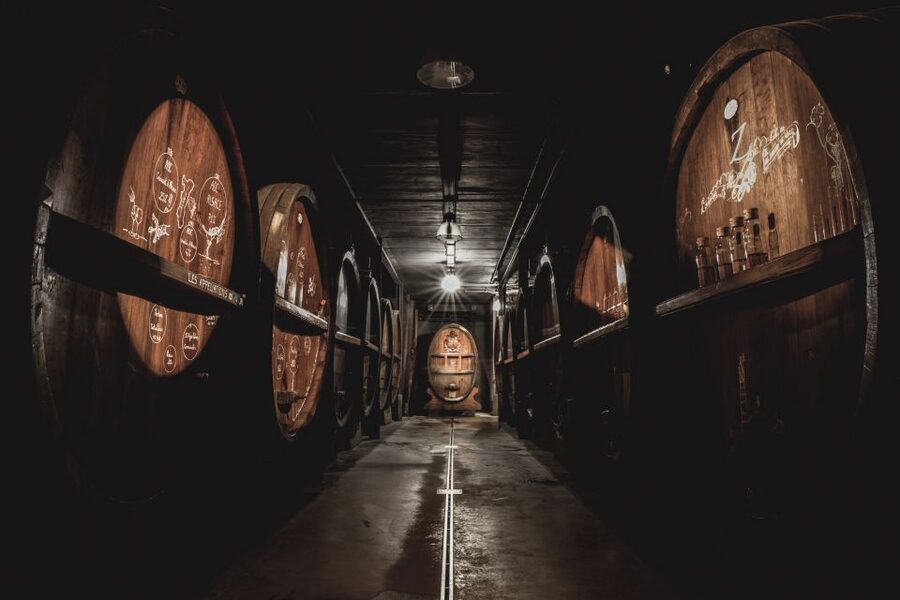 Alsatian Guided Wine Tasting and Immersive wine cellar tour - How the guide affects the experience