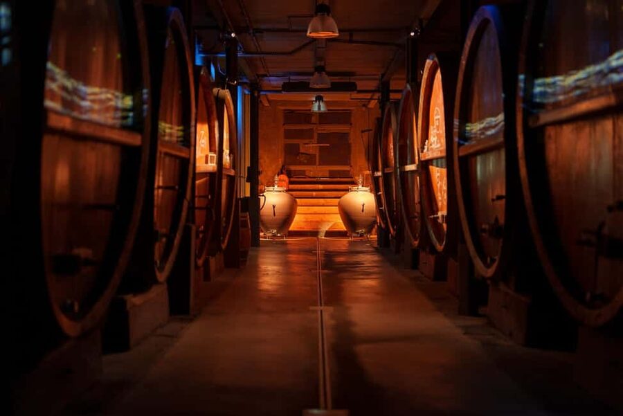 Alsatian Guided Wine Tasting and Immersive wine cellar tour - Who should book this cellar visit?