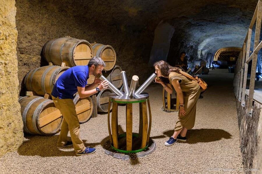 Amboise: Caves Ambacia Visit and Wine Tasting - Cheese and charcuterie turn tasting into lunch