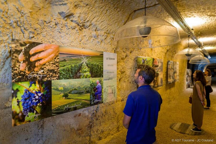 Amboise: Caves Ambacia Visit and Wine Tasting - Is $37 good value in the Loire Valley?