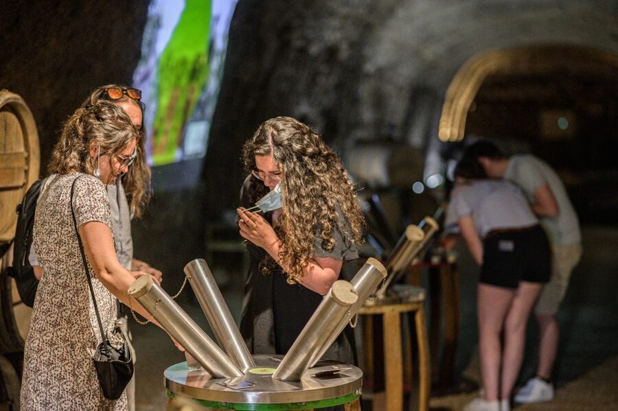 Amboise: Caves Ambacia Visit and Wine Tasting - The sensorial tour makes wine less mysterious