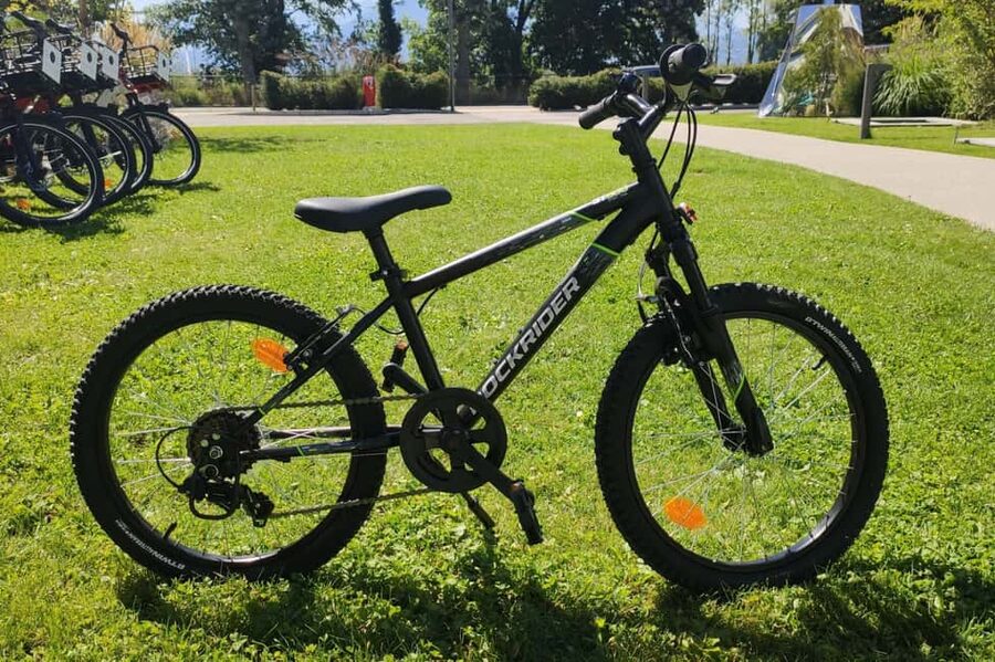 Annecy-le-Vieux, France: Electric and Classic Bike Rentals - Key Points at a Glance