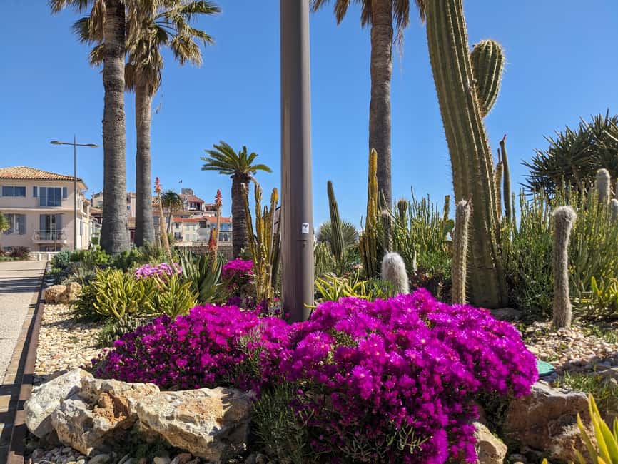 Antibes: 2 hour walking tour in the old town - Returning to the port and planning the rest of your day